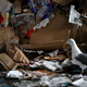Illustration for article titled Latest tactic to ward off asshole seagulls straight out of iPlanet Earth/i